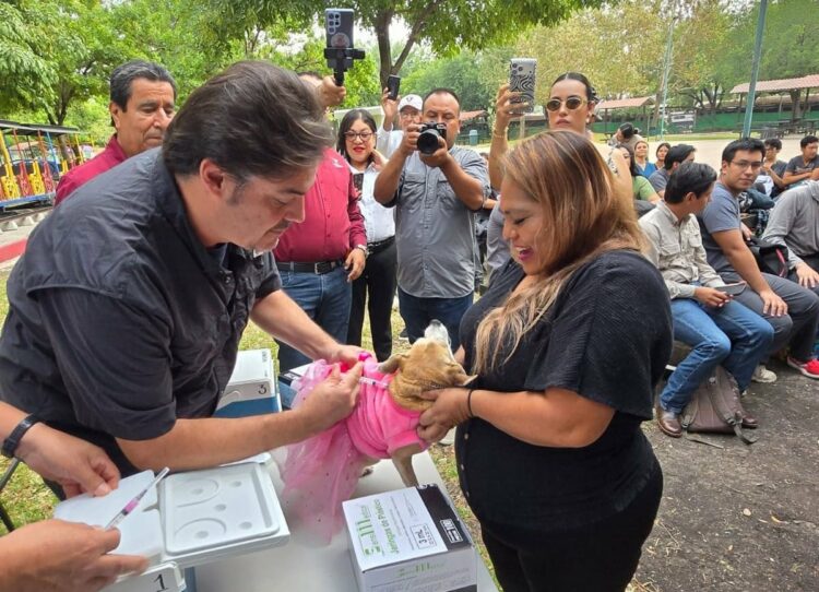 Aplicará Salud 345 mil dosis en campaña de vacunación antirrábica