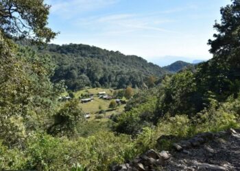 Tamaulipas busca ganar 4 premios Lo Mejor de México