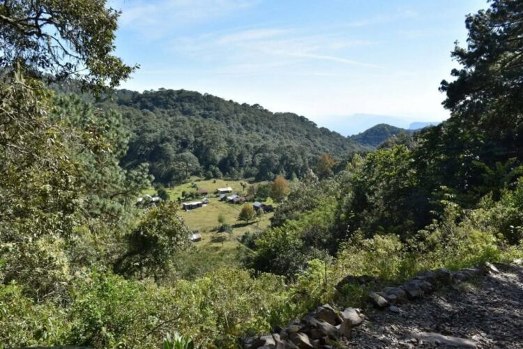 Tamaulipas busca ganar 4 premios Lo Mejor de México