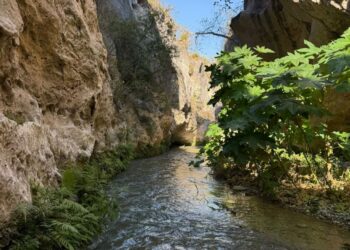 Vive la Semana Santa en Tamaulipas: Turismo