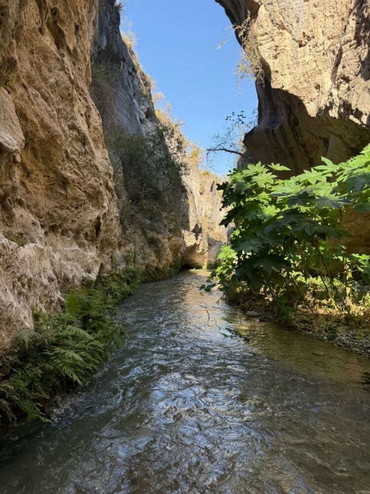 Vive la Semana Santa en Tamaulipas: Turismo