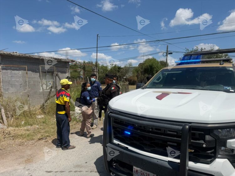 Adolescente agrede a abuela y moviliza autoridades