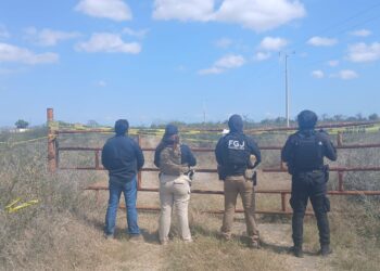 Catean predio en Soto la Marina por ilícitos
