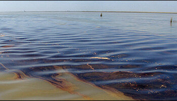 Alerta ambiental: petróleo contamina costas del Golfo