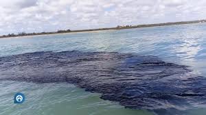 Derrame en Golfo impacta áreas naturales protegidas: Conanp