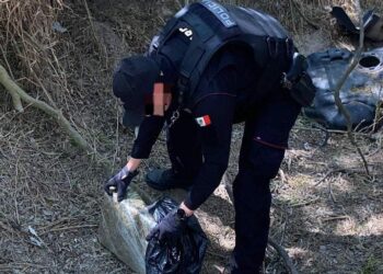 Decomisan cargamento de droga en brecha de Matamoros