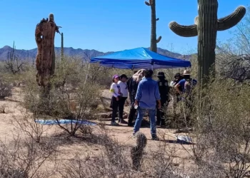 Investigan fosca clandestina en desierto de Sonora