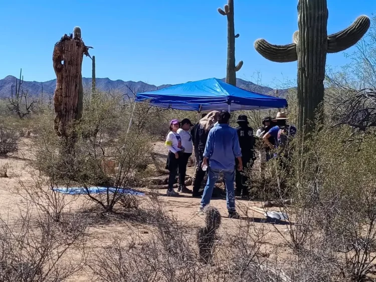 Investigan fosca clandestina en desierto de Sonora
