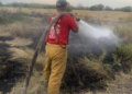 Cinco incendios de pastizal movilizan a Bomberos en Ciudad Victoria