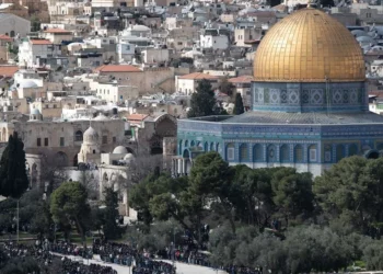 Activan retorno de 36 mexicanos varados en Israel