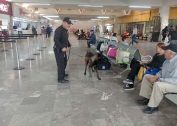 Guardia Estatal refuerza vigilancia con binomio en Central