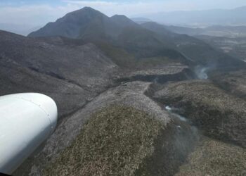 Afectadas 200 hectáreas por incendio forestal en Bustamante