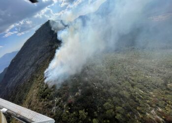 Incendio en Miquihuana arrasa hasta 450 hectáreas forestales