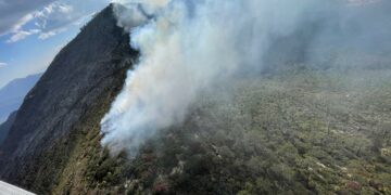 Incendio en Miquihuana arrasa hasta 450 hectáreas forestales