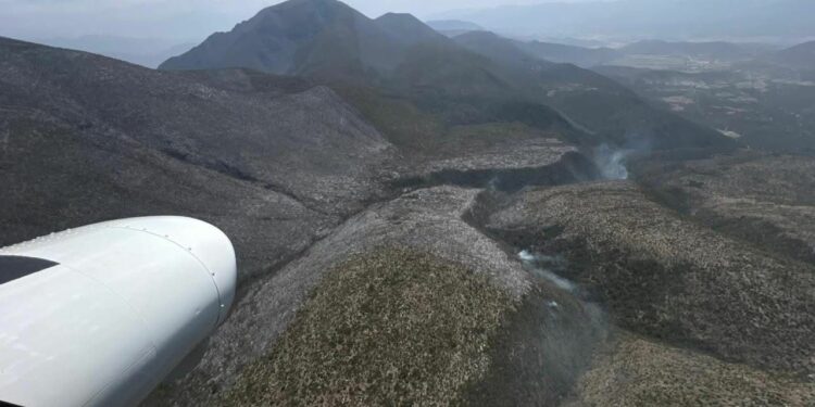 Afectadas 200 hectáreas por incendio forestal en Bustamante