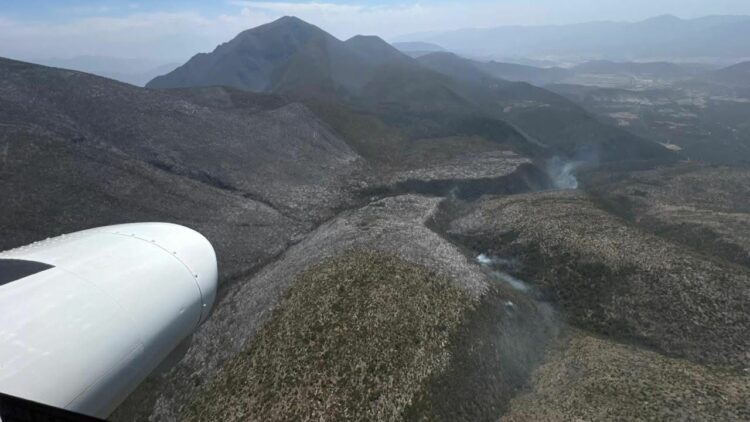 Afectadas 200 hectáreas por incendio forestal en Bustamante