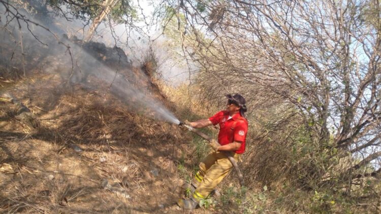 Bomberos sofocan incendios en tres sectores de Ciudad Victoria
