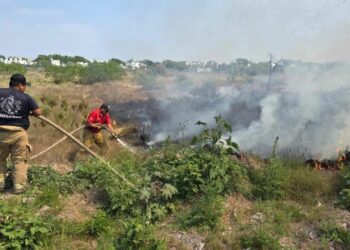 Controlan incendio de pastizal en el camino viejo al Ejido El Olmo