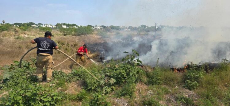 Controlan incendio de pastizal en el camino viejo al Ejido El Olmo