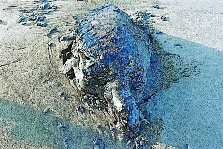 Retiran crudo del Golfo, persiste opacidad oficial