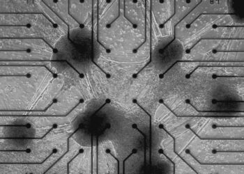 Cortical Labs integra neuronas humanas en un chip para procesar datos de ‘Doom’