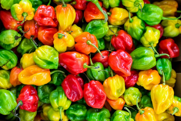 ¿El plato más picante de México? El reto del chile habanero relleno que solo los valientes terminan