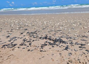 Derrame de crudo alcanza playas de Tamaulipas