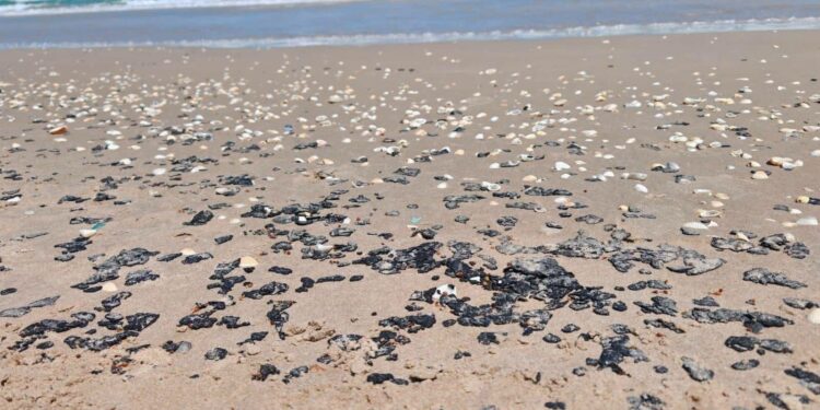 Derrame de crudo alcanza playas de Tamaulipas