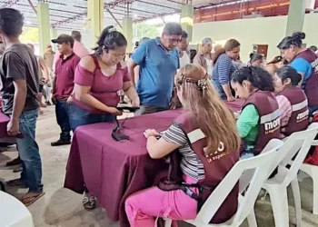 INE pone en duda padrón masivo de Morena