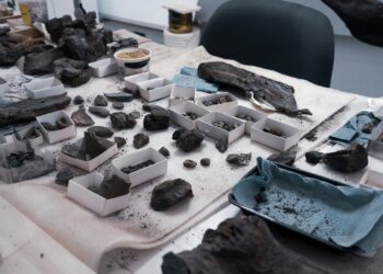 El INAH incorpora la categoría de Paleontología a sus premios nacionales de investigación