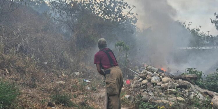 Intensa jornada de bomberos por fuego en pastizales
