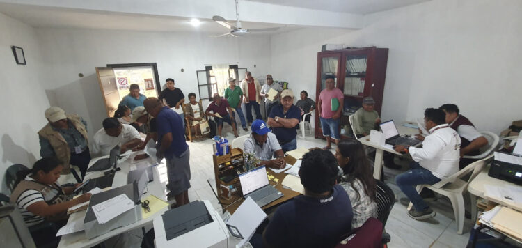 Reabre AGRICULTURA ventanilla para apoyos a productores de maíz blanco de Sinaloa