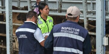 Gusano Barrenador del Ganado repunta en Ocampo y Tula; llega a Bustamante y regresa a Aldama