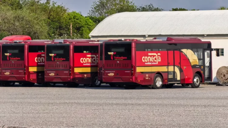 Operarán hasta mayo seis unidades de transporte público del plan piloto “Conecta” en Cd. Victoria.