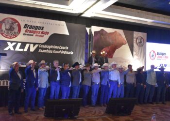 Asume el MVZ Jorge Luis Zertuche Rodríguez presidencia de la Asociación Brangus Mexicana