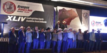 Asume el MVZ Jorge Luis Zertuche Rodríguez presidencia de la Asociación Brangus Mexicana