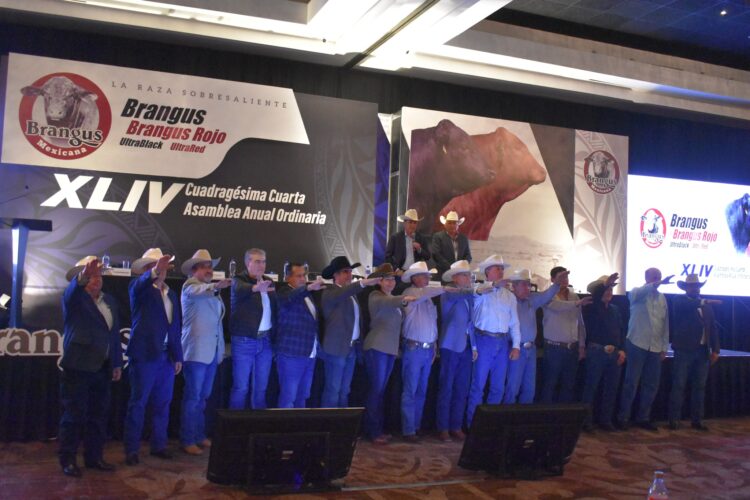 Asume el MVZ Jorge Luis Zertuche Rodríguez presidencia de la Asociación Brangus Mexicana