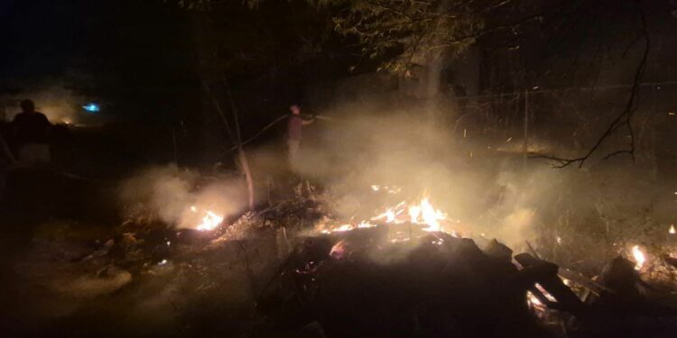 Intensa jornada de bomberos por fuego en pastizales