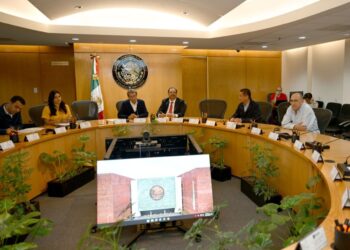 Aparece tamaulipeca Frida Denisse Gómez en 15 finalistas a tres consejerías del INE