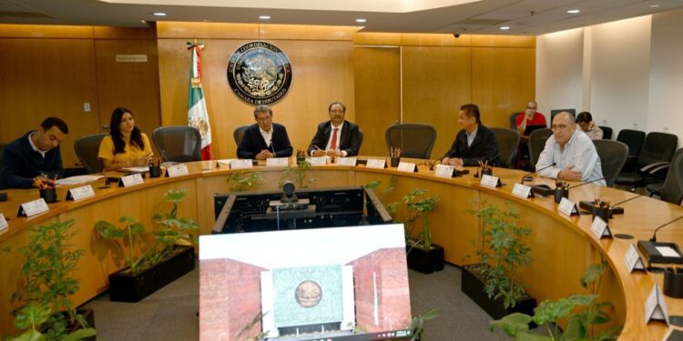 Aparece tamaulipeca Frida Denisse Gómez en 15 finalistas a tres consejerías del INE