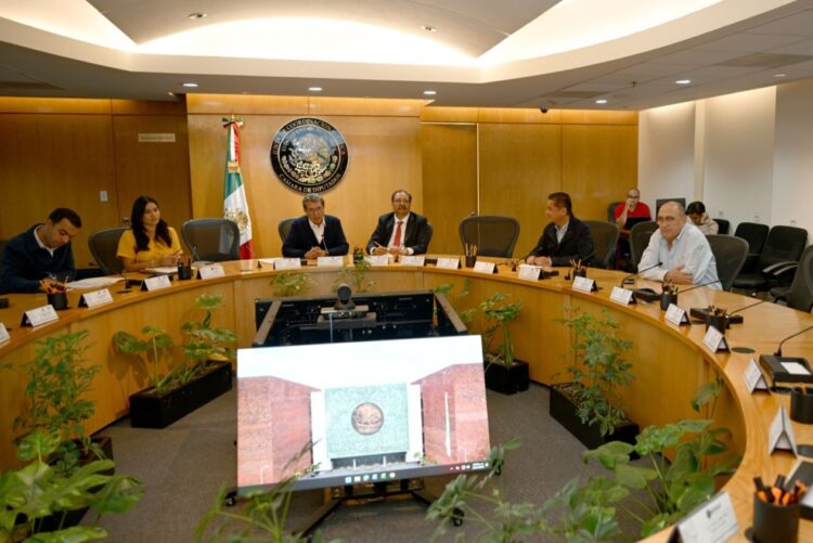 Aparece tamaulipeca Frida Denisse Gómez en 15 finalistas a tres consejerías del INE