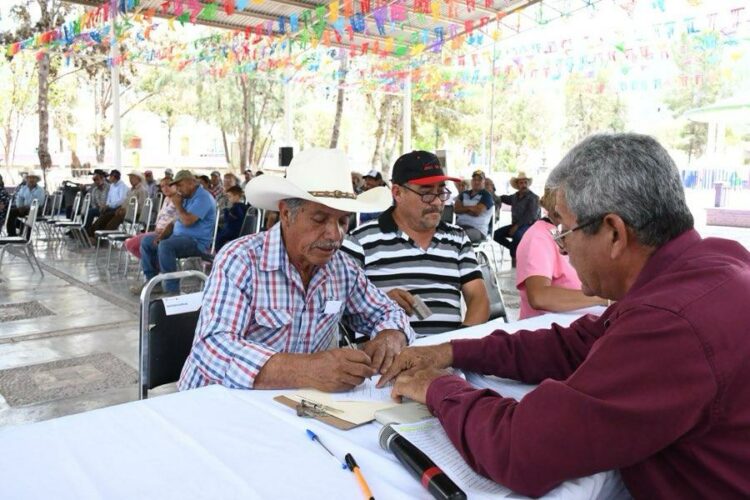 Lanzan subsidio de fertilizante para citricultores del Centro de Tamaulipas