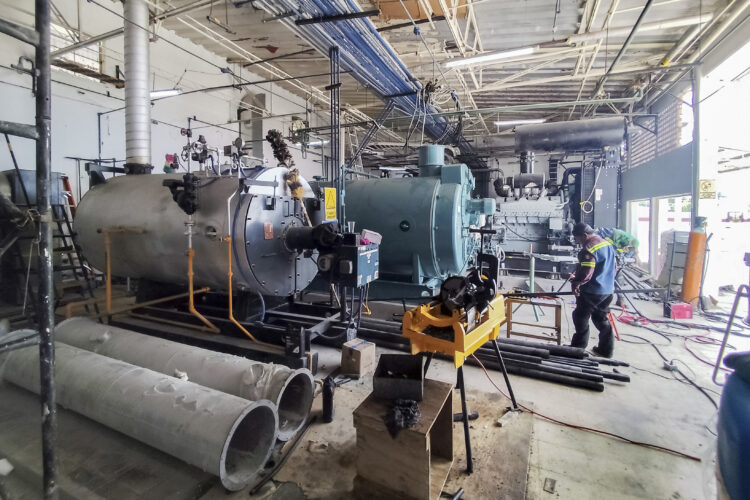 Planta de moscas estériles para erradicar gusano barrenador del ganado lleva 75% de avance