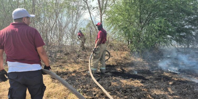 Intensa jornada de bomberos por fuego en pastizales
