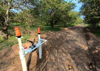 Reitera la CONAGUA llamado a regularizar las concesiones de agua a agricultores