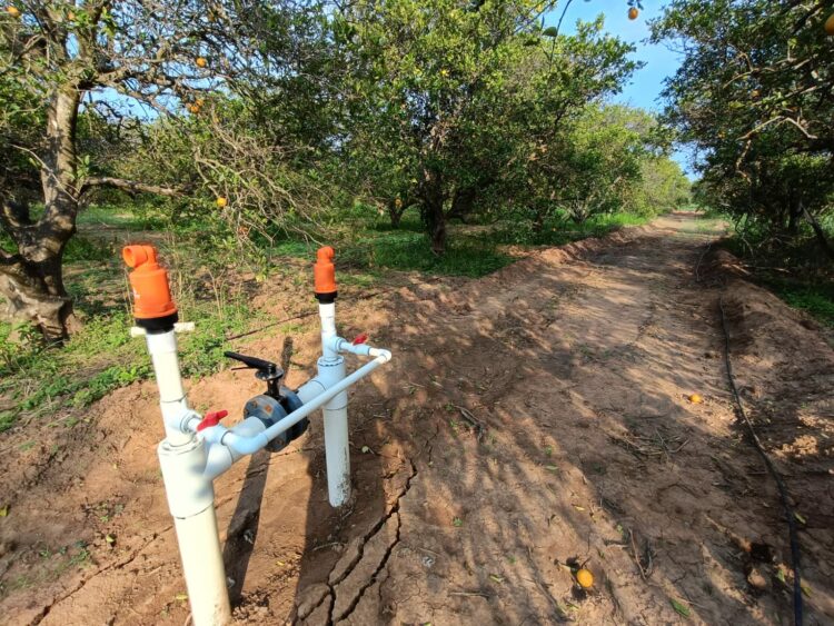 Reitera la CONAGUA llamado a regularizar las concesiones de agua a agricultores