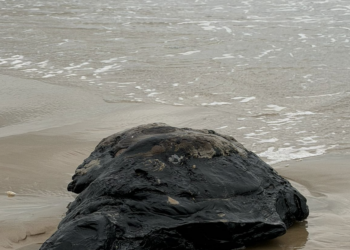 LLega contaminación por petróleo a Playa Bagdad