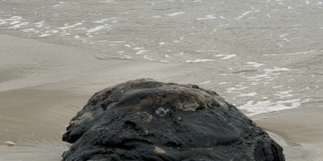 LLega contaminación por petróleo a Playa Bagdad
