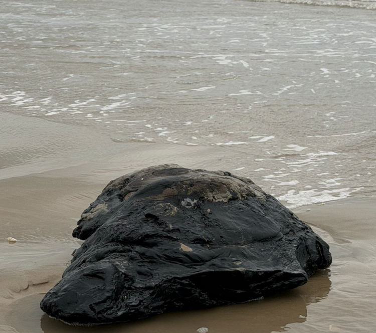 LLega contaminación por petróleo a Playa Bagdad