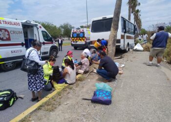 Microbús choca contra palmera; hay 15 lesionados